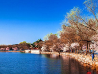 关于心于地。的优美句子