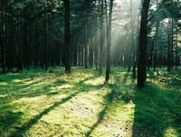 荒凉，一片，一片 ……句子大全