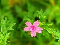 “复婚前24小时，我玩了一场走了火的姐弟恋。”| 真实