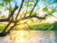 如果明天我就要离开，今天，仍然给你最好的陪伴