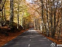 丈 量