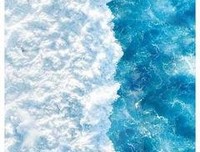 《我是麻烦》的句子