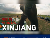 《中国新疆 反恐前沿》经典观后感1000字