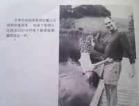 描写可岁·伊芙的语句摘抄