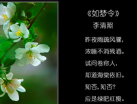 诗，词，雨。