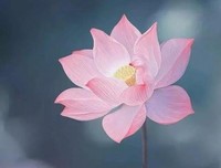 人，一定要懂得拐弯