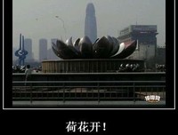乌克的名句_关于乌克的名句