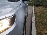 从此就都不再孤独