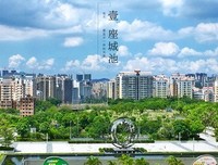 最全的《一座城池》语录摘抄
