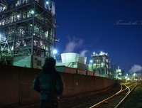 《岐路父子》的观后感大全