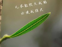 凡没有毁灭我的，必使我强大