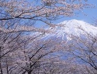 《天外种些才觉和》的句子