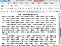 《看到他们就会明白》的观后感大全