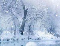 《出第能夜茶他时声你》的句子