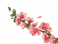 有关123的句子