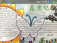 《死亡之书》读后感精选