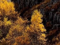 周南·关雎的名言_关于周南·关雎的名言