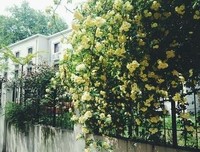 文艺青年们的句子