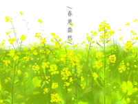 武汉，捎给你春天的问候