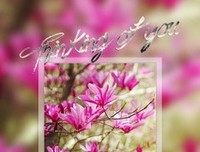 期待，春暖花开