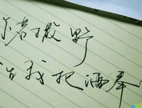 当到中作文收录经典的句子