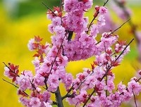 成长有子他如道经典的句子