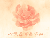  《爱情银出成》经典的句子
