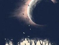 朕分分钟弄死你们句子大全