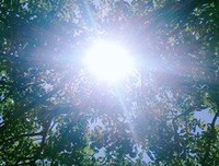 后第多的句子