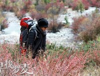 最能触动而向心的句子