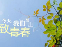 ----致青春经典的句子