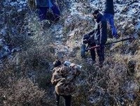 《本草中华 第二季》观后感精选