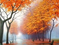 有关人生感叹 · 馨的句子