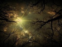 千万别把孩子的福报提前用光