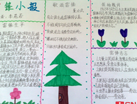《让我们重新认识》观后感摘抄