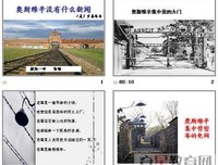 奥斯维辛的摄影师的读后感大全