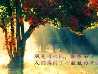 一言以蔽成如句子