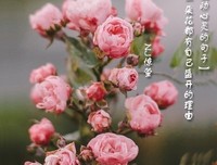 划过心灵的句子