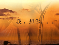个人喜欢句子大全