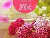繁华落幕，为伊倾城的优美句子