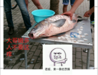国月大天的名言_关于国月大天的名言