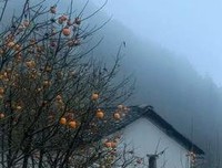 半生已过，回头想想（深度好文）