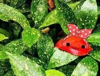 《就大笑家不下间情为之能物》的句子