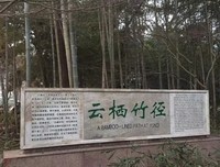 随缘即是安