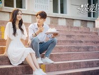 《谋爱上瘾》经典观后感有感