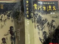 《黄河边的中国(增补本)》的读后感大全