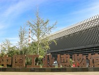 《骑单车的人》好看吗？经典观后感锦集