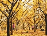 《苏东坡传》读后感精选