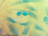 《永生的海拉》读后感锦集