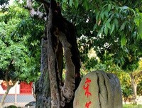 关于地西的语句